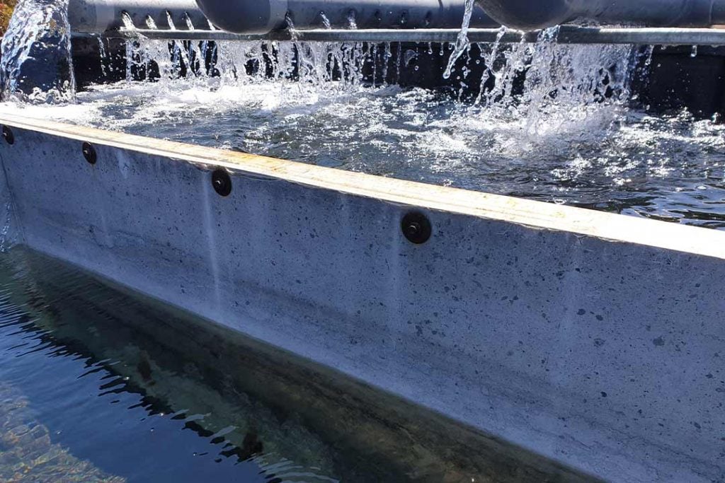 PFAS Water Treatment | Membrane Systems Australia | Sustainability